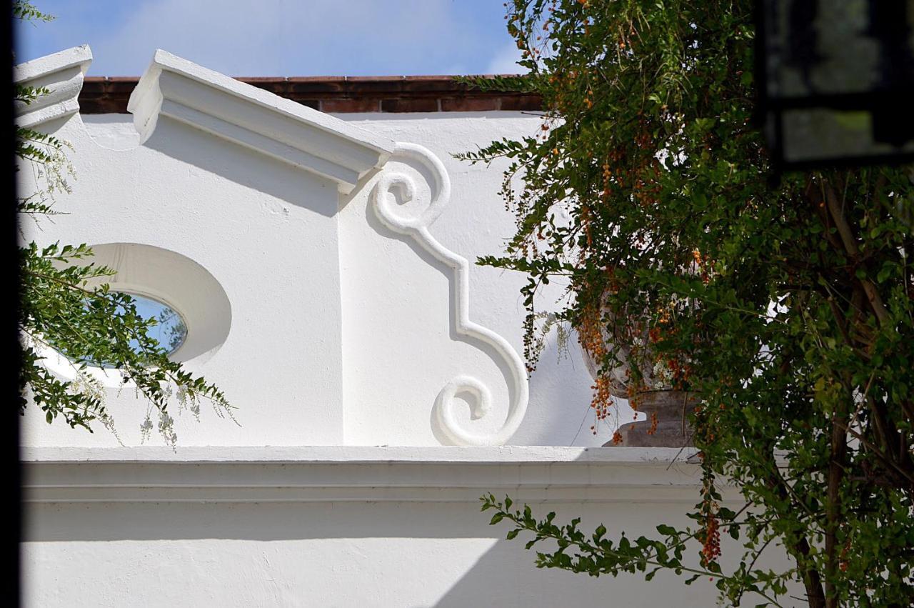 Casa De Los Olivos San Miguel de Allende Luaran gambar