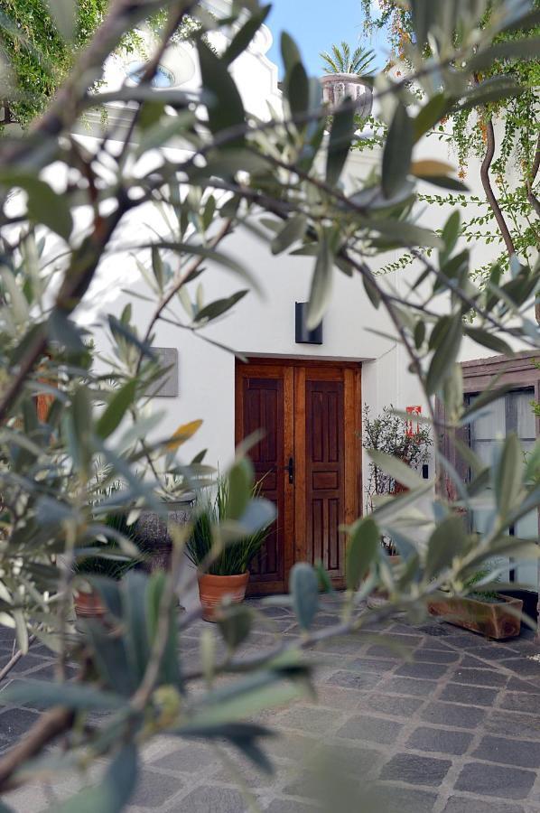 Casa De Los Olivos San Miguel de Allende Luaran gambar